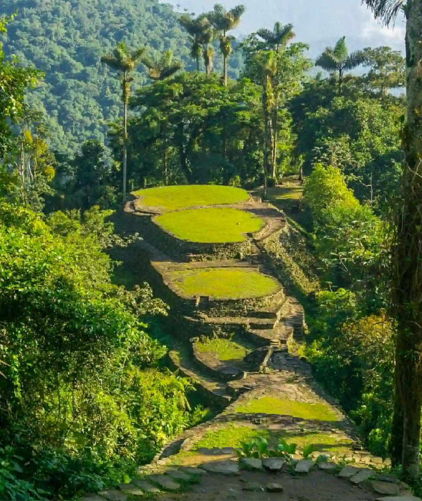 The Lost City, Santa Marta
