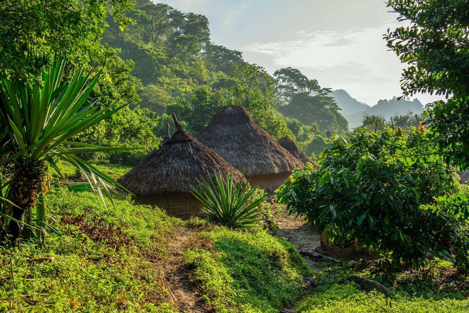 Vamos & Beyond – La esencia natural y cultural de Colombia | Boutique luxury travel experience in Colombia, authentic nature and culture with Vamos & Beyond.