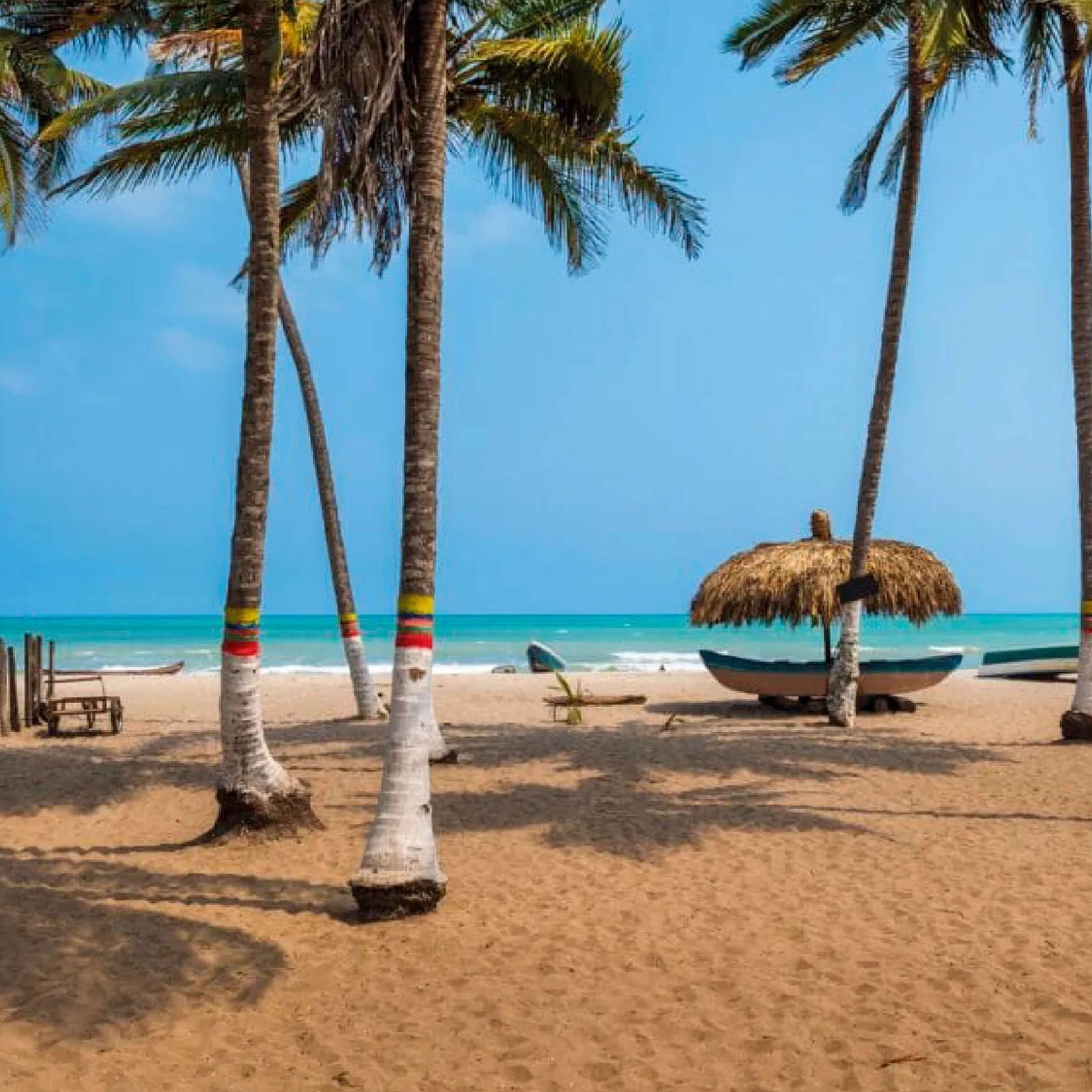 Vamos & Beyond – La esencia natural y cultural de Colombia | Boutique luxury travel experience in Colombia, authentic nature and culture with Vamos & Beyond. Vamos & Beyond – La esencia natural y cultural de Colombia | Boutique luxury travel experience in Colombia, authentic nature and culture with Vamos & Beyond.