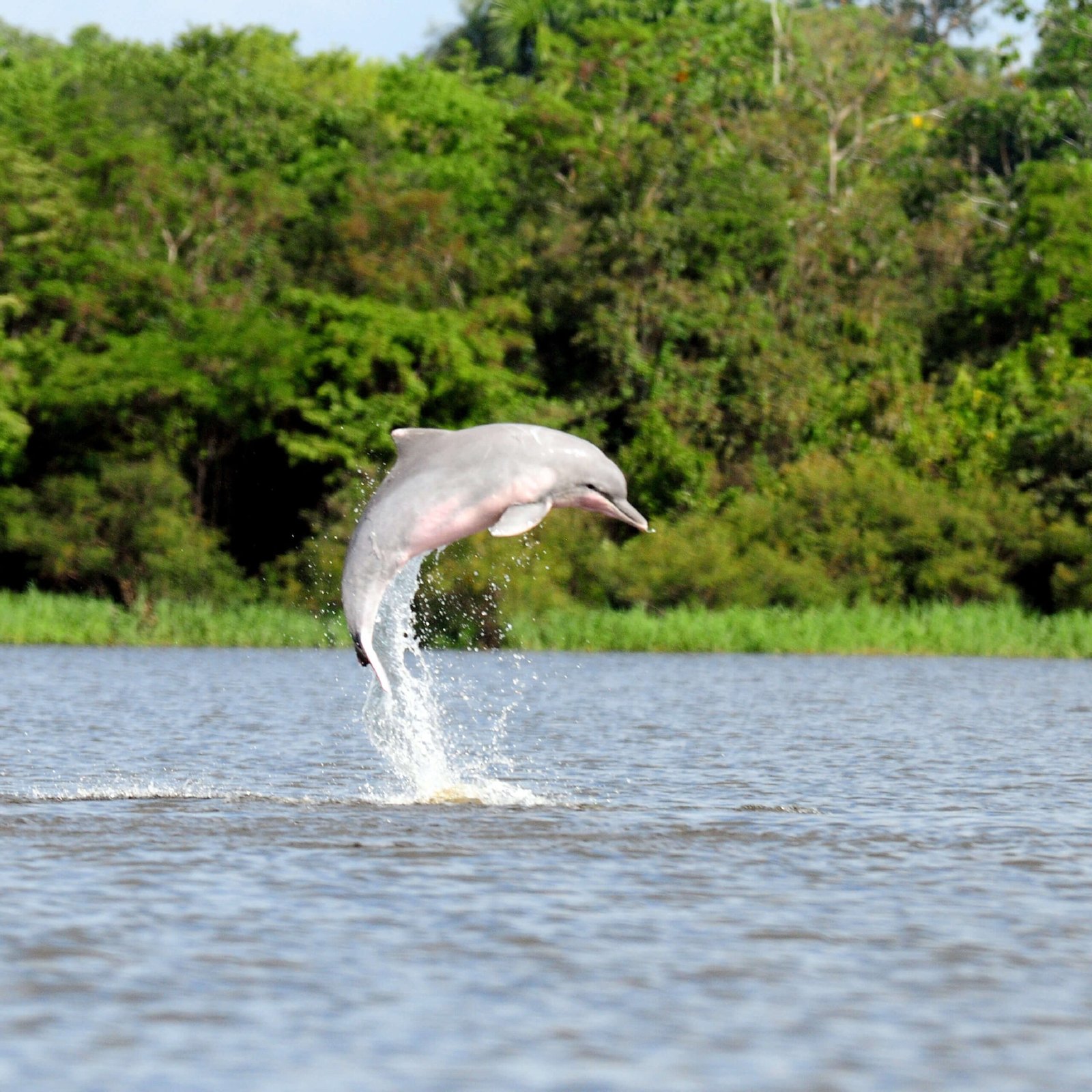 Vamos & Beyond – La esencia natural y cultural de Colombia | Boutique luxury travel experience in Colombia, authentic nature and culture with Vamos & Beyond.