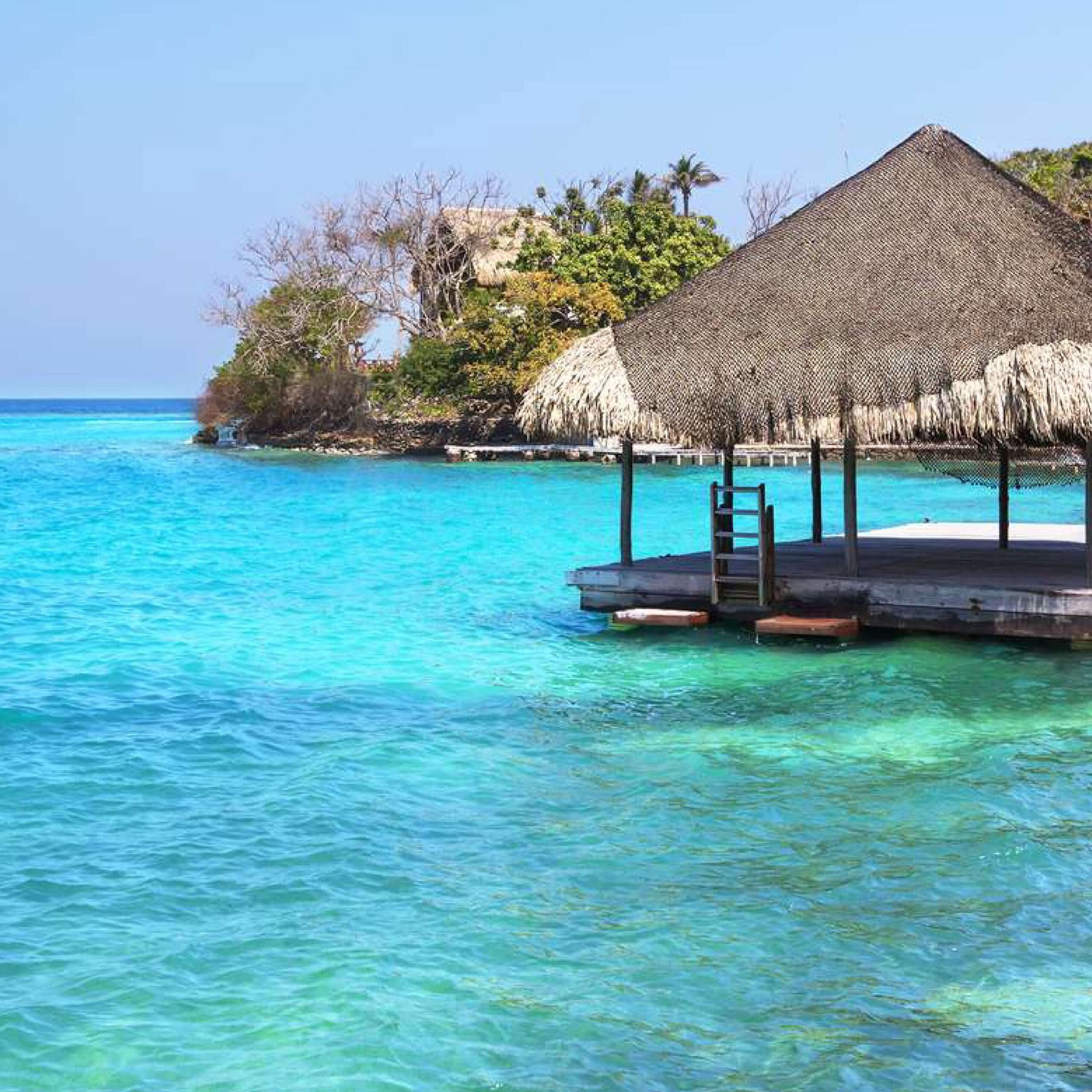 Vamos & Beyond – La esencia natural y cultural de Colombia | Boutique luxury travel experience in Colombia, authentic nature and culture with Vamos & Beyond.