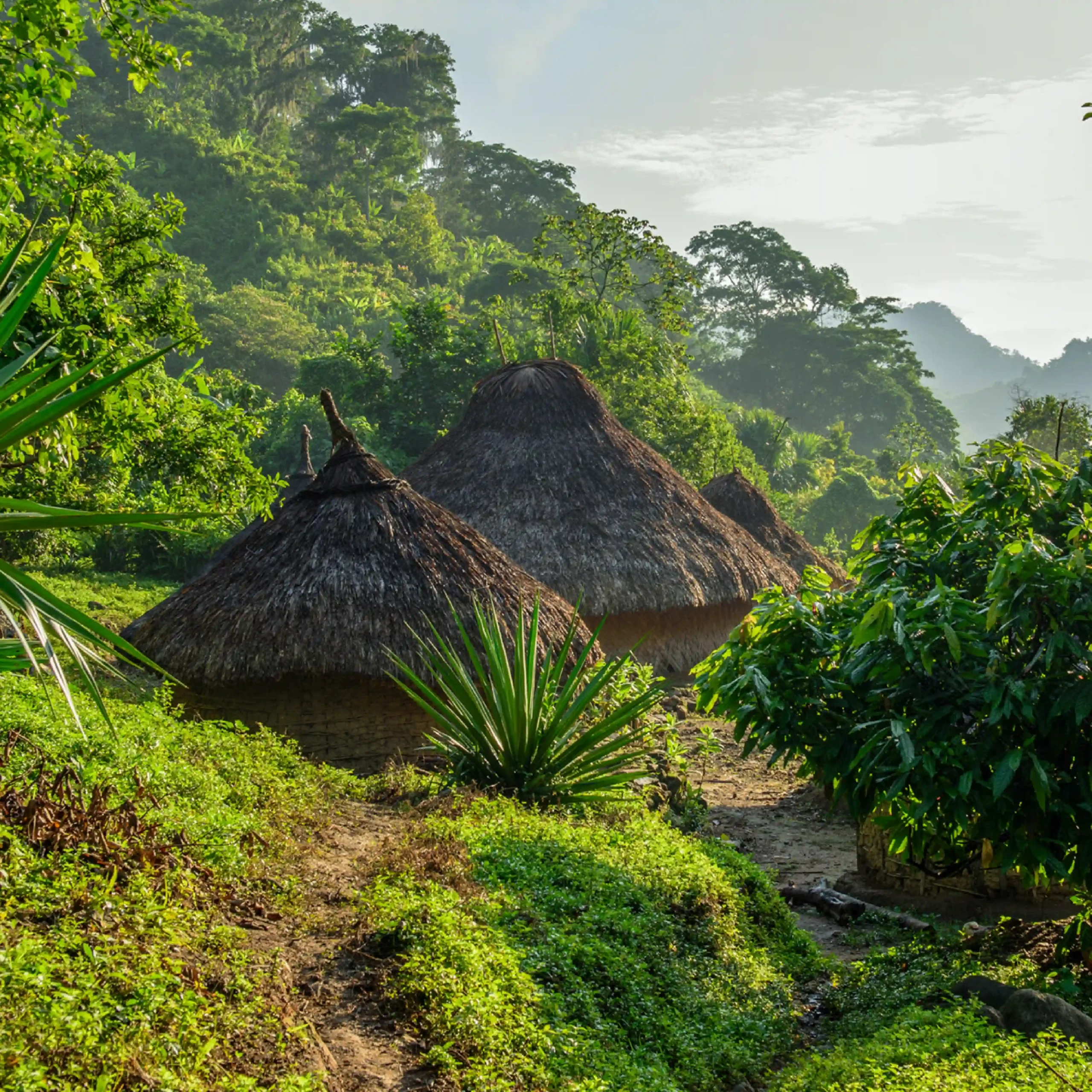 Vamos & Beyond – La esencia natural y cultural de Colombia | Boutique luxury travel experience in Colombia, authentic nature and culture with Vamos & Beyond. Vamos & Beyond – La esencia natural y cultural de Colombia | Boutique luxury travel experience in Colombia, authentic nature and culture with Vamos & Beyond.