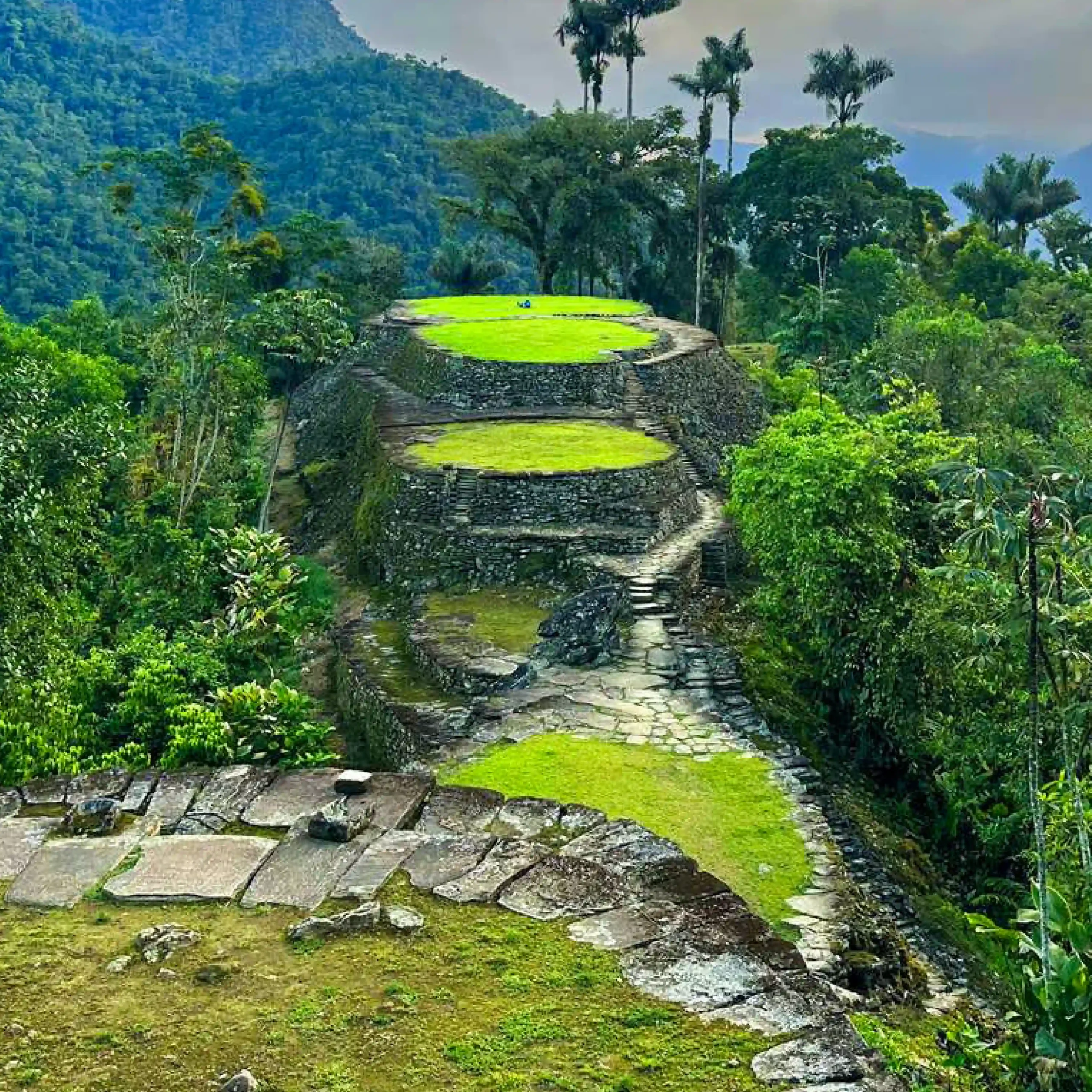 Vamos & Beyond – La esencia natural y cultural de Colombia | Boutique luxury travel experience in Colombia, authentic nature and culture with Vamos & Beyond. Vamos & Beyond – La esencia natural y cultural de Colombia | Boutique luxury travel experience in Colombia, authentic nature and culture with Vamos & Beyond.