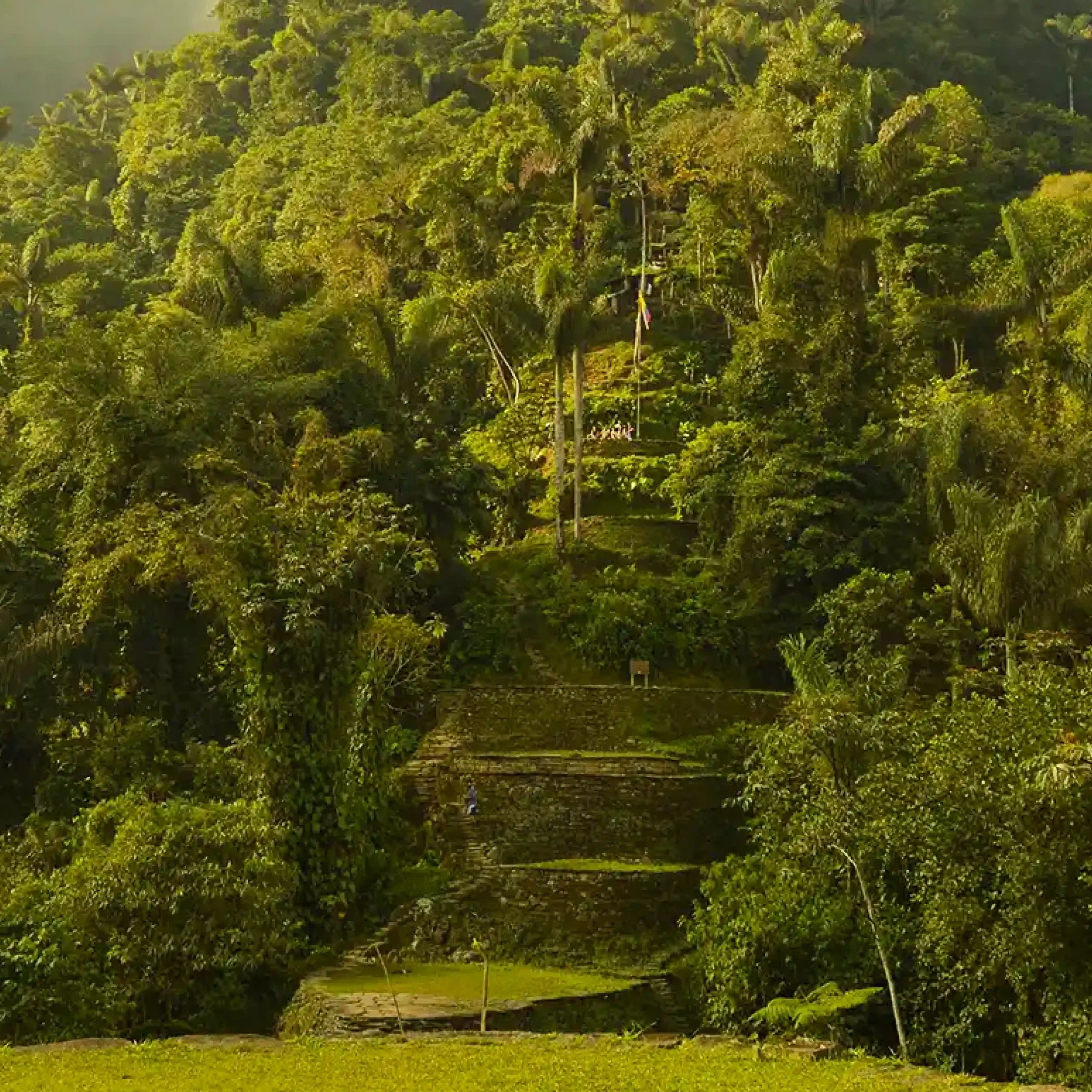 Vamos & Beyond – La esencia natural y cultural de Colombia | Boutique luxury travel experience in Colombia, authentic nature and culture with Vamos & Beyond. Vamos & Beyond – La esencia natural y cultural de Colombia | Boutique luxury travel experience in Colombia, authentic nature and culture with Vamos & Beyond.