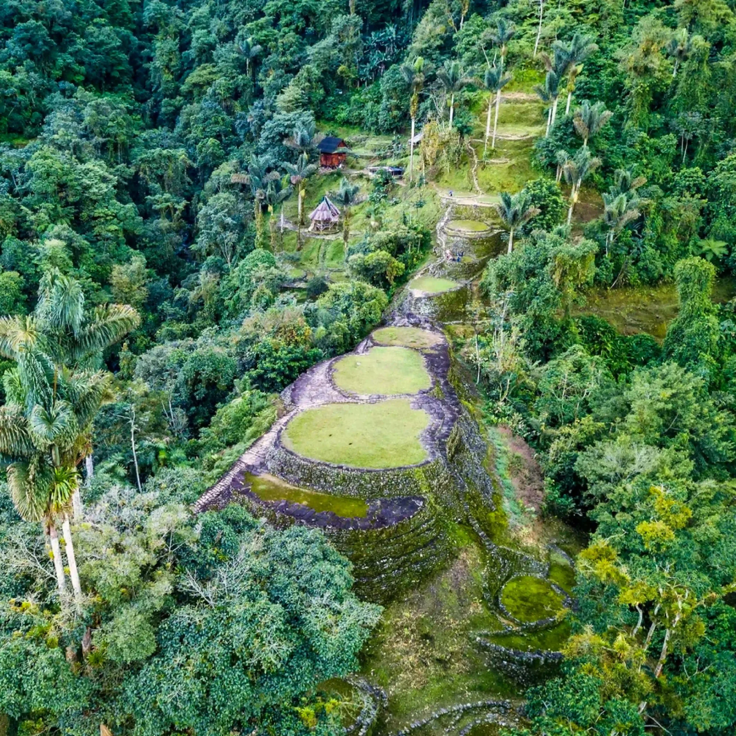 Vamos & Beyond – La esencia natural y cultural de Colombia | Boutique luxury travel experience in Colombia, authentic nature and culture with Vamos & Beyond. Vamos & Beyond – La esencia natural y cultural de Colombia | Boutique luxury travel experience in Colombia, authentic nature and culture with Vamos & Beyond.