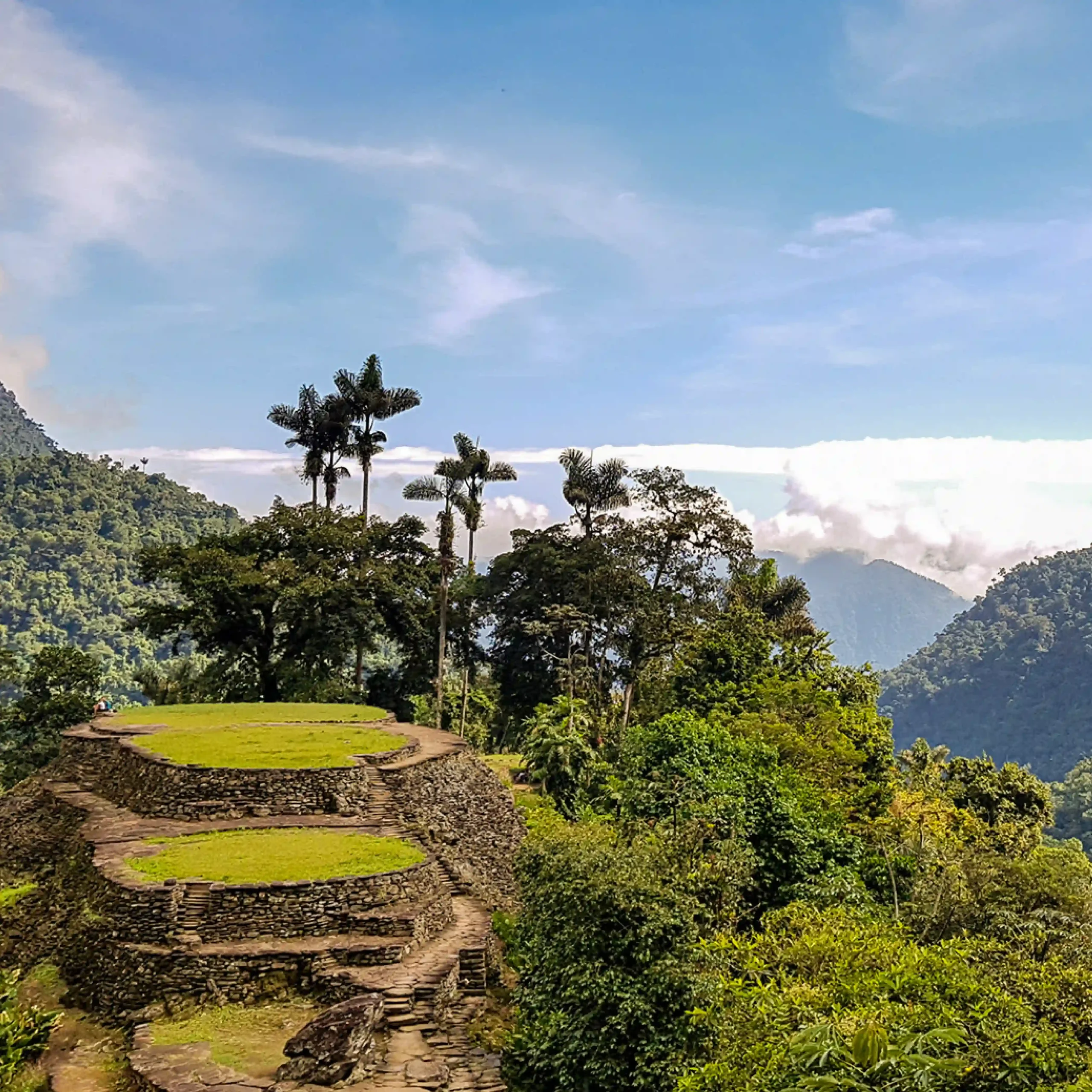 Vamos & Beyond – La esencia natural y cultural de Colombia | Boutique luxury travel experience in Colombia, authentic nature and culture with Vamos & Beyond. Vamos & Beyond – La esencia natural y cultural de Colombia | Boutique luxury travel experience in Colombia, authentic nature and culture with Vamos & Beyond.