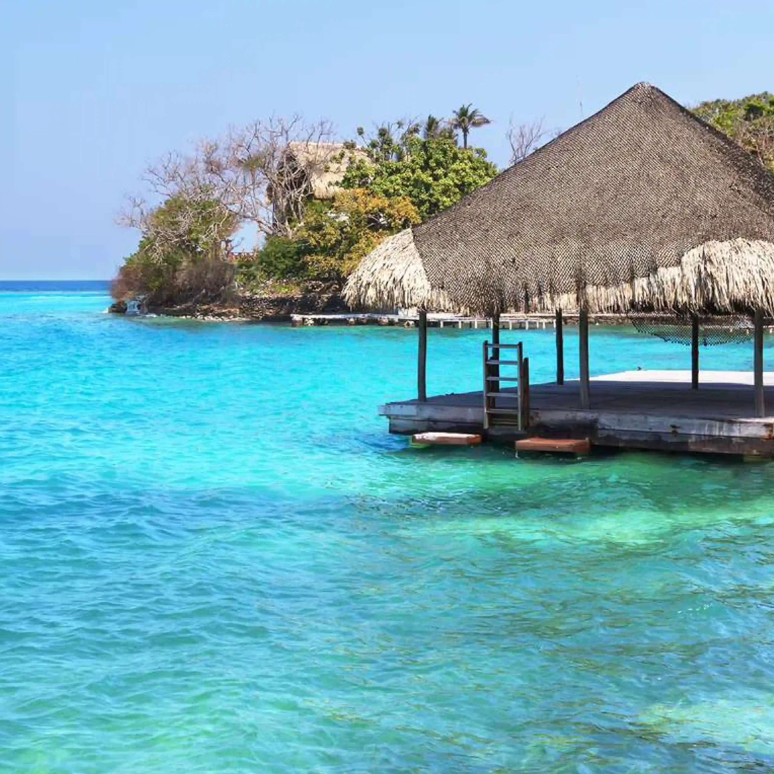 Vamos & Beyond – La esencia natural y cultural de Colombia | Boutique luxury travel experience in Colombia, authentic nature and culture with Vamos & Beyond. Vamos & Beyond – La esencia natural y cultural de Colombia | Boutique luxury travel experience in Colombia, authentic nature and culture with Vamos & Beyond.